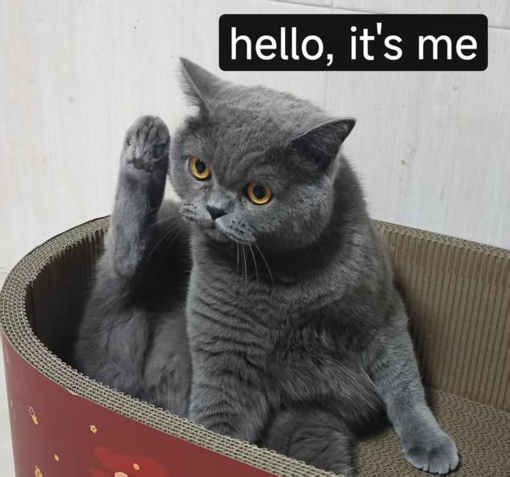 hello, it's me