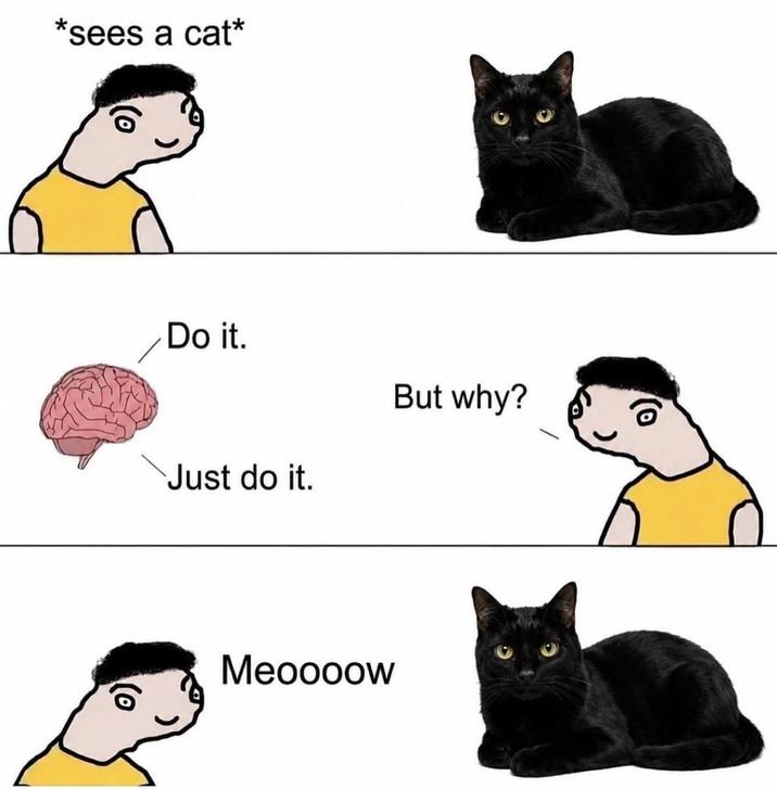 *sees a cat* Do it. But why? Just do it. Meoooow