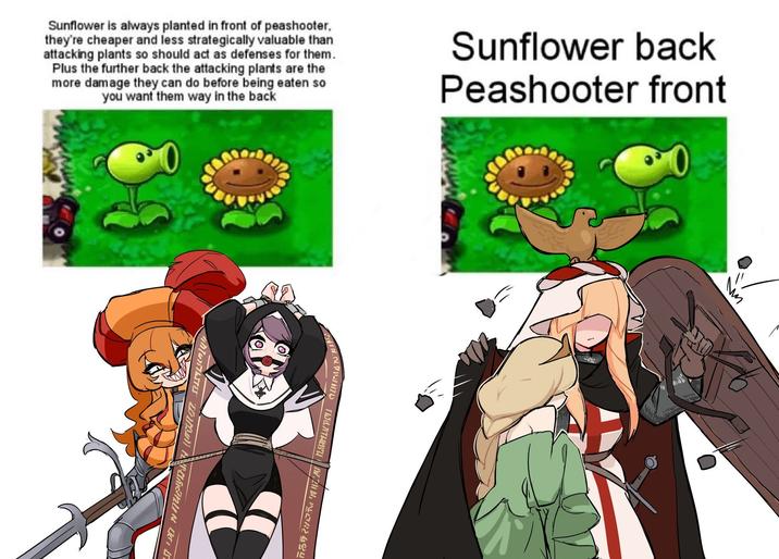 Sunflower is always planted in front of peashooter, they're cheaper and less strategically valuable than attacking plants so should act as defenses for them. Plus the further back the attacking plants are the more damage they can do before being eaten so you want them way in the back Sunflower back Peashooter front ✓ IN TV. HORELD ANTES INUN QIL 3 \