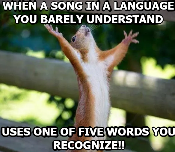 WHEN A SONG IN A LANGUAGE YOU BARELY UNDERSTAND USES ONE OF FIVE WORDS YOU RECOGNIZE!!