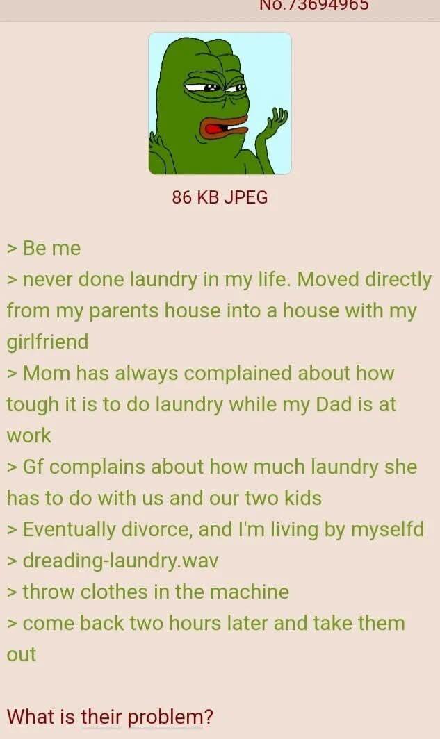 No.73694965 86 KB JPEG > Be me > never done laundry in my life. Moved directly from my parents house into a house with my girlfriend > Mom has always complained about how tough it is to do laundry while my Dad is at work > Gf complains about how much laundry she has to do with us and our two kids > Eventually divorce, and I'm living by myselfd > dreading-laundry.wav > throw clothes in the machine > come back two hours later and take them out What is their problem?