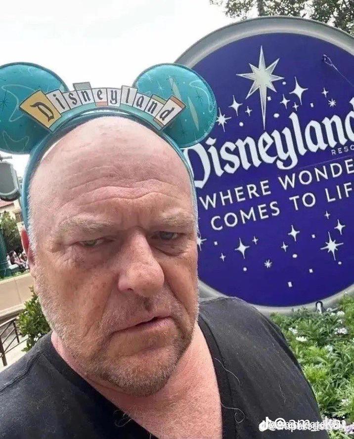 Disneyland Disneyland WHERE WONDE COMES TO LIF decamuskat