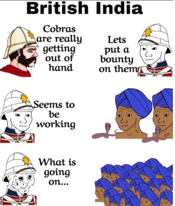 British India Cobras are really getting out of hand Lets put a bounty on them Seems to be working What is going on...