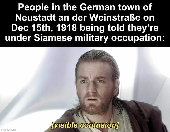 People in the German town of Neustadt an der Weinstraße on Dec 15th, 1918 being told they're under Siamese military occupation: imgflip.com [visible confusion]