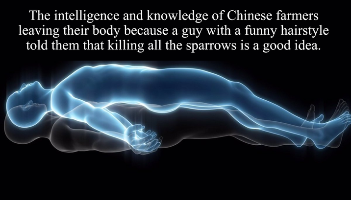 The intelligence and knowledge of Chinese farmers leaving their body because a guy with a funny hairstyle told them that killing all the sparrows is a good idea.