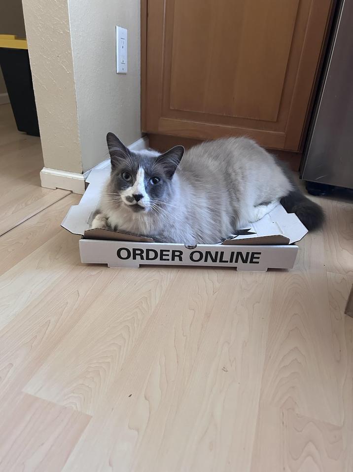 ORDER ONLINE