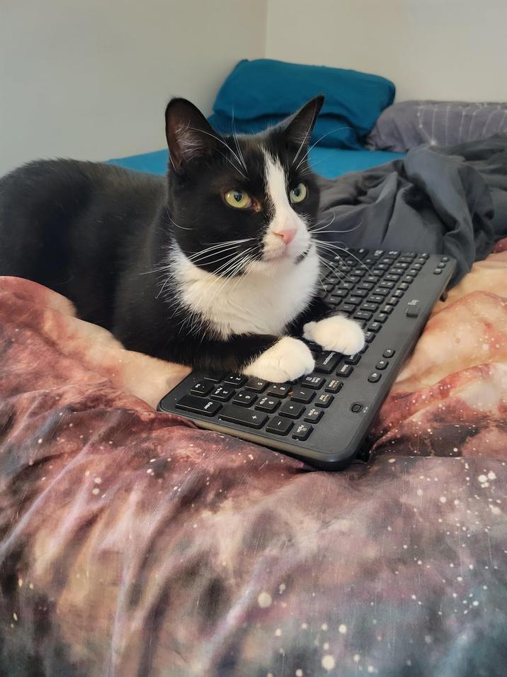 CO Backspace