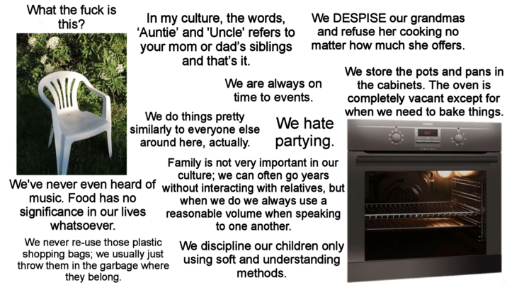 What the f--- is this? In my culture, the words, 'Auntie' and 'Uncle' refers to your mom or dad's siblings and that's it. We DESPISE our grandmas and refuse her cooking no matter how much she offers. We are always on time to events. We do things pretty similarly to everyone else around here, actually. We hate partying. We store the pots and pans in the cabinets. The oven is completely vacant except for when we need to bake things. AEG 10:27 COMPETENCE We've never even heard of music. Food has no significance in our lives whatsoever. Family is not very important in our culture; we can often go years without interacting with relatives, but when we do we always use a reasonable volume when speaking to one another. We never re-use those plastic shopping bags; we usually just throw them in the garbage where they belong. We discipline our children only using soft and understanding methods.