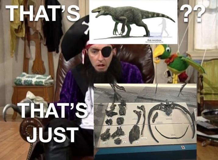 THAT'S THAT'S JUST Maip macrothorax Late Cretaceous South America ??
