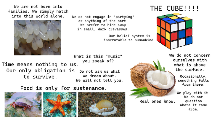 We are not born into families. We simply hatch into this world alone. We do not engage in "partying" or anything of the sort. We prefer to hide away in small, dark crevasses. THE CUBE!!!! Our belief system is inscrutable to humankind. What is this "music" you speak of? Time means nothing to us. Our only obligation is to survive. Do not ask us what we dream about. We will not tell you. Food is only for sustenance. Zubi 14 We do not concern ourselves with what is above the surface. Real ones know. Occasionally, something falls from there. We play with it. We do not question where it came from.