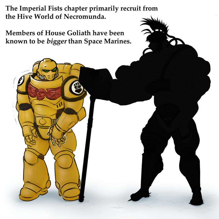 The Imperial Fists chapter primarily recruit from the Hive World of Necromunda. Members of House Goliath have been known to be bigger than Space Marines.