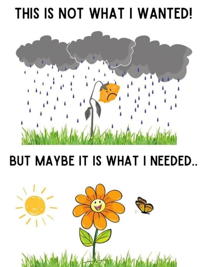 THIS IS NOT WHAT I WANTED! BUT MAYBE IT IS WHAT I NEEDED..