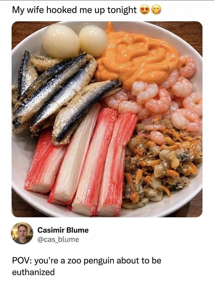 My wife hooked me up tonight Casimir Blume @cas blume POV: you're a zoo penguin about to be euthanized