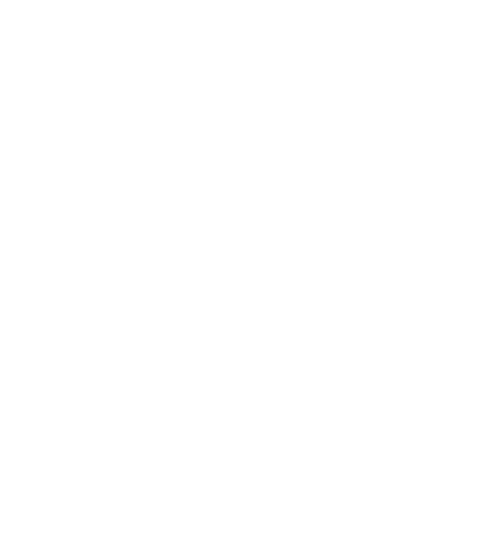 REM