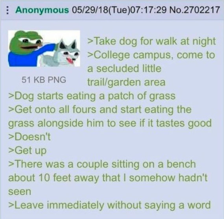 Anonymous 05/29/18(Tue)07:17:29 No.2702217 51 KB PNG >Take dog for walk at night >College campus, come to a secluded little trail/garden area >Dog starts eating a patch of grass >Get onto all fours and start eating the grass alongside him to see if it tastes good >Doesn't >Get up >There was a couple sitting on a bench about 10 feet away that I somehow hadn't seen >Leave immediately without saying a word