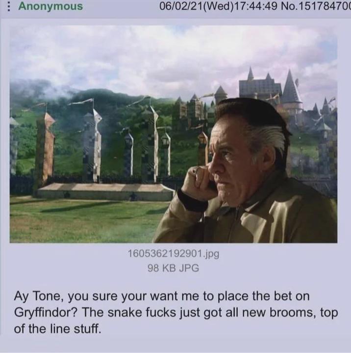 Anonymous 06/02/21(Wed)17:44:49 No.151784700 1605362192901.jpg 98 KB JPG Ay Tone, you sure your want me to place the bet on Gryffindor? The snake f---- just got all new brooms, top of the line stuff.