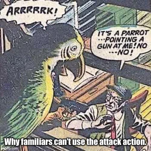 ARRRRRK! IT'S A PARROT ---POINTING A GUN AT ME!NO ---NO! Why familiars can't use the attack action. php.com