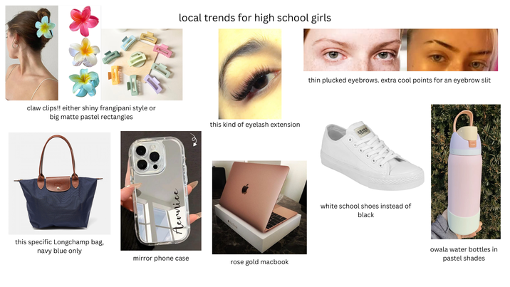 local trends for high s----------- claw clips!! either shiny frangipani style or big matte pastel rectangles this kind of eyelash extension this specific Longchamp bag, navy blue only Aernice Macbook mirror phone case rose gold macbook thin plucked eyebrows. extra cool points for an eyebrow slit ABARO white school shoes instead of black owala water bottles in pastel shades