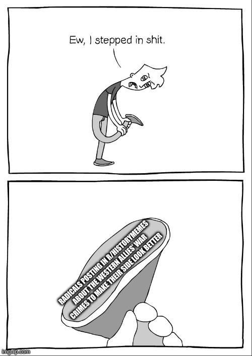 imgflip.com Ew, I stepped in s---. RADICALS POSTING IN R/HISTORYMEMES ABOUT THE WESTERN ALLIES' WAR CRIMES TO MAKE THEIR SIDE LOOK BETTER