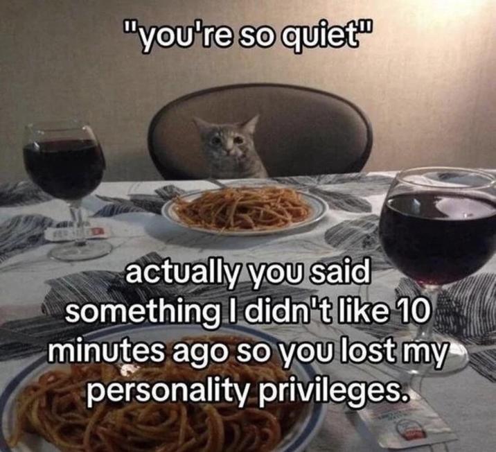 "you're so quiet" actually you said something I didn't like 10 minutes ago so you lost my personality privileges.