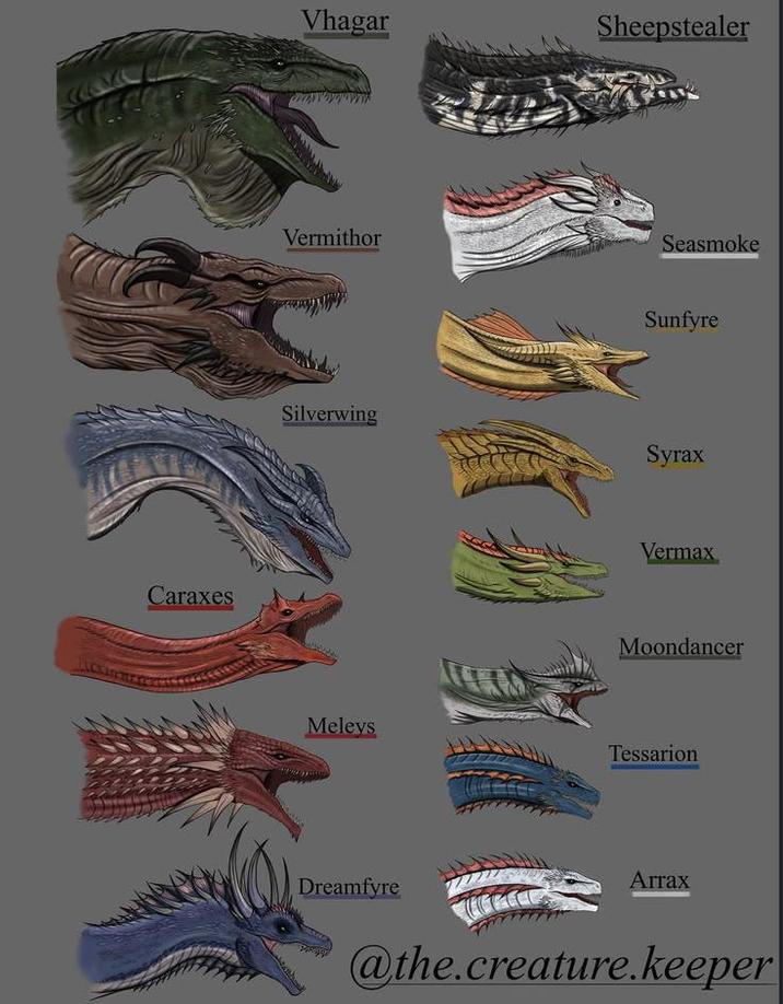 Caraxes Vhagar Sheepstealer Vermithor Silverwing Meleys Dreamfyre Seasmoke Sunfyre Syrax Vermax Moondancer Tessarion Агтах @the.creature.keeper