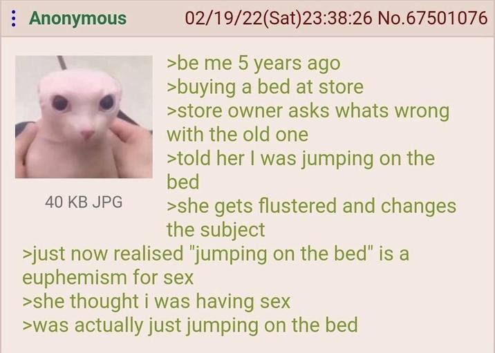 : Anonymous 40 KB JPG 02/19/22(Sat)23:38:26 No.67501076 >be me 5 years ago >buying a bed at store >store owner asks whats wrong with the old one >told her I was jumping on the bed >she gets flustered and changes the subject >just now realised "jumping on the bed" is a euphemism for sex >she thought i was having sex >was actually just jumping on the bed