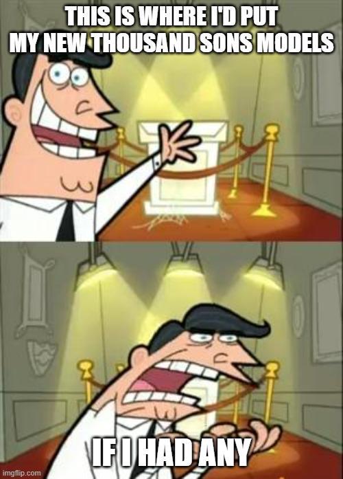 THIS IS WHERE I'D PUT MY NEW THOUSAND SONS MODELS IF I HAD ANY imgflip.com