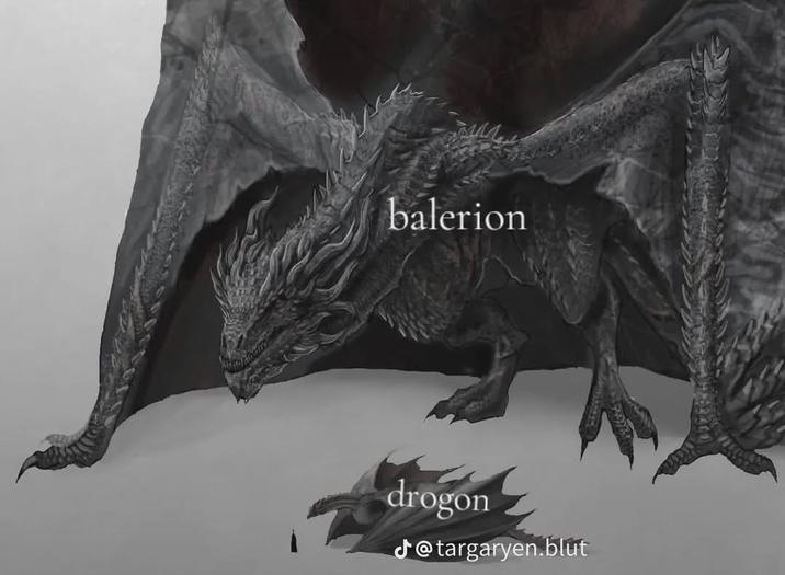 balerion drogon @targaryen.blut