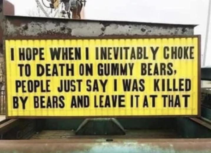I HOPE WHEN I INEVITABLY CHOKE TO DEATH ON GUMMY BEARS, PEOPLE JUST SAY I WAS KILLED BY BEARS AND LEAVE IT AT THAT