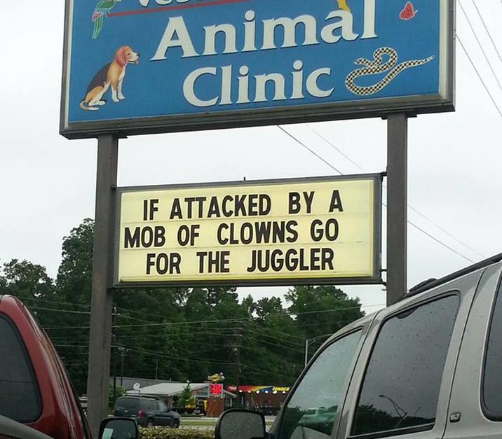 Animal Clinic IF ATTACKED BY A MOB OF CLOWNS GO FOR THE JUGGLER