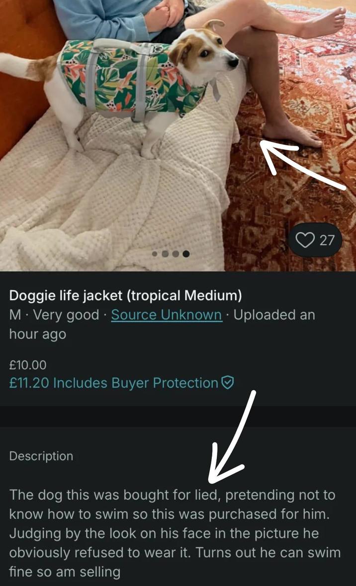 27 Doggie life jacket (tropical Medium) M. Very good. Source Unknown - Uploaded an hour ago £10.00 £11.20 Includes Buyer Protection Description ✓ The dog this was bought for lied, pretending not to know how to swim so this was purchased for him. Judging by the look on his face in the picture he obviously refused to wear it. Turns out he can swim fine so am selling
