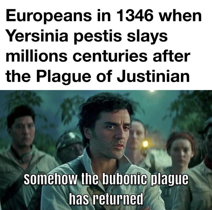 Europeans in 1346 when Yersinia pestis slays millions centuries after the Plague of Justinian Somehow the bubonic plague has returned
