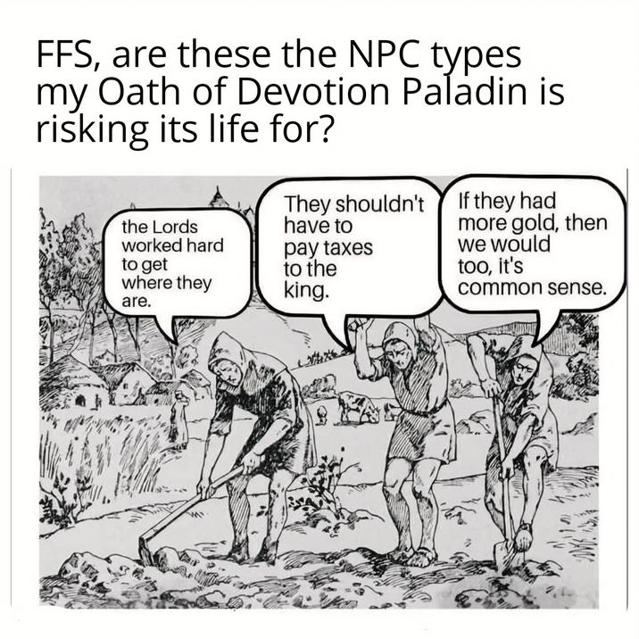 FFS, are these the NPC types my Oath of Devotion Paladin is risking its life for? the Lords worked hard to get where they are. They shouldn't have to pay taxes to the king. If they had more gold, then we would too, it's common sense.