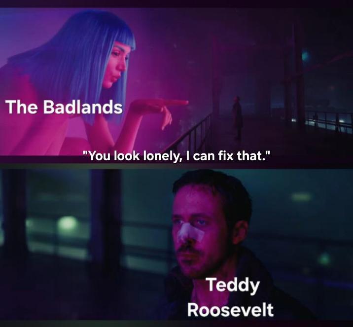 The Badlands "You look lonely, I can fix that." Teddy Roosevelt