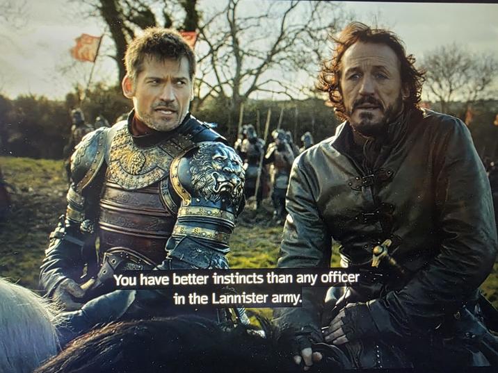 康 You have better instincts than any officer in the Lannister army.