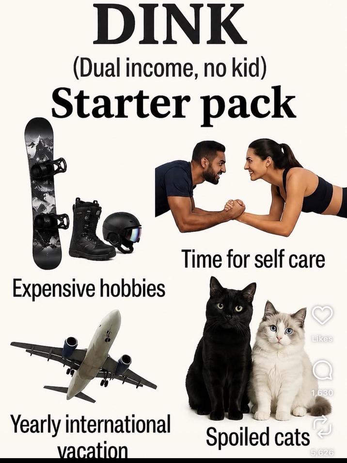 DINK (Dual income, no kid) Starter pack Expensive hobbies Time for self care Yearly international vacation Spoiled cats Likes D 1,630 5,626