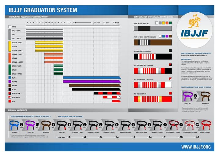 IBJJF GRADUATION SYSTEM MINIMUM AGE REQUIREMENTS AND HIERARCHY 5 6 7 8 9 10 11 12 13 14 15 16 17 18 19 WHITE GREY/WHITE GREY GREY/BLACK YELLOW/WHITE YELLOW YELLOW/BLACK ORANGE/WHITE ORANGE ORANGE/BLACK GREEN/WHITE GREEN GREEN/BLACK BLUE PURPLE BROWN BLACK RED/BLACK RED/WHITE RED MINIMUM WAIT PERIOD <--05 57-> CONFIGURATION OF DEGREES AND DIMENSIONS FROM 04 TO 15 YEARS OLD FROM 16 YEARS OLD UP TO 4 GRADES BLACK BELT UP TO 6 GRADES IBJJF RED AND BLACK BELT: 7th GRADE RED AND WHITE BELT: 8th GRADE HOW TO CALCULATE THE AGE OF THE ATHLETE: CURRENT YEAR-BIRTH YEAR AGE OF THE ATHLETE OBSERVATIONS: The minimum periods shall be counted from the day of registration of the athlete in the BJJF system in each bet category The time it takes for the athlete to graduate from white belt to black belt is up to the athlete's professor. However, the BUF requires a mandatory minimum amount of time the athe must spend at each bet level After a black belt graduation the practitioner must meet the mandatory minimum time requirements to add degrees and be promoted to red and black belt, red and white belt, and red bet RED BELT: GRADE PRACTITIONERS FROM 18 YEARS OLD-WHITE TO BLACK BELT 2 PRACTITIONERS FROM THE BLACK BELT းးးးးးးးး BLUE BELT years PURPLE BELT BROWN BELT BLACK BELT TOTAL YEARS 3 "The periods mentioned are ret fled, but demanded mus Each professor determines how long each practitioner should remain in each bet years years BLACK BELT GRADE BLACK BELT GRADE BLACK BELT GRADE BLACK BELT 4GRADE BLACK BELTS GRADE BLACK BELT GRADE 9 24 31 14 19 years PRACTITIONERS BETWEEN 1G AND 17 YRS OLD" PURPLE DELT 2 R BROWN BELT "The periods mentioned are not find, but demanded minum Each professor determines how long each practitioner should remain in each bet 10 REDBLACK BELT 7" GRADE RED/WHITE BELT GRADE RED BELT GRADE +38 48 WWW.IBJJF.ORG