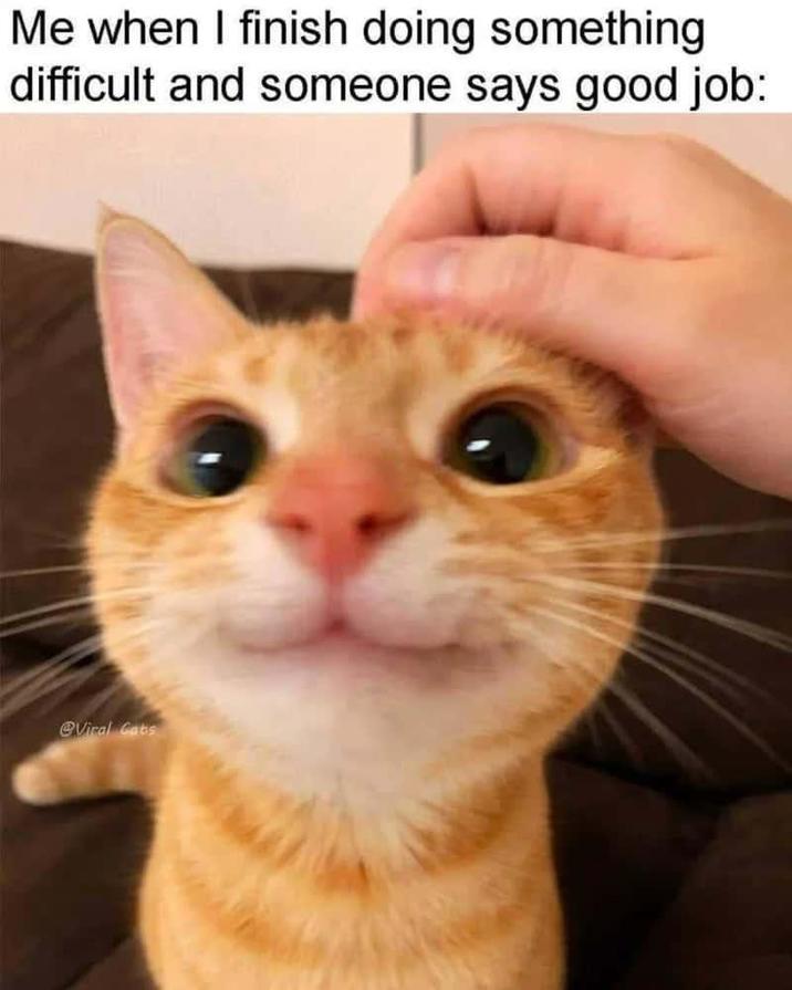 Me when I finish doing something difficult and someone says good job: @Viral Cats