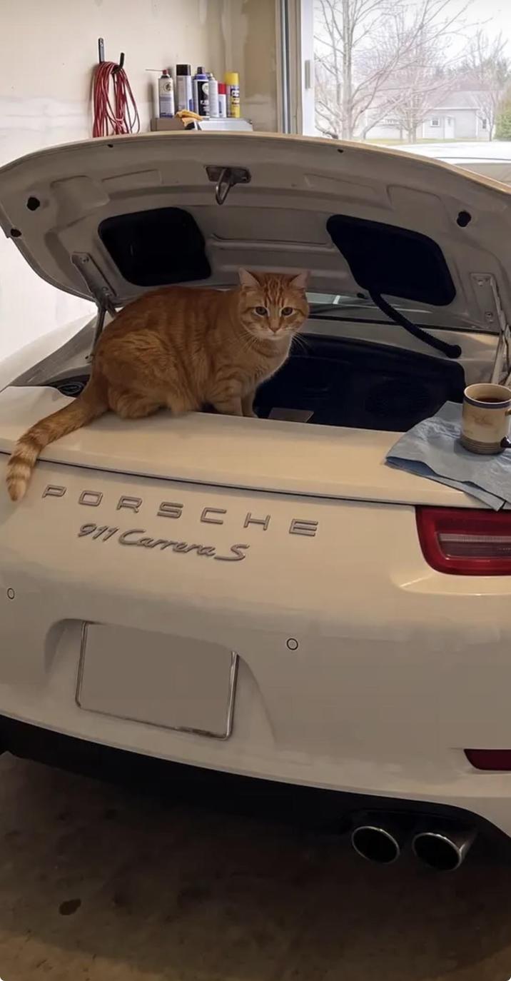 0 PORSCHE 911 Carrera S