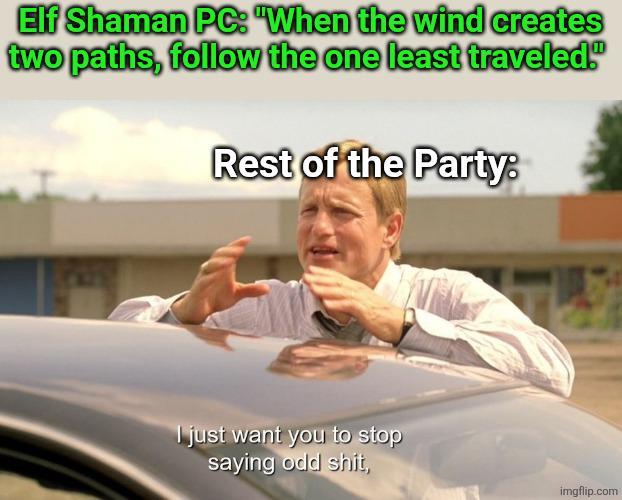 Elf Shaman PC: "When the wind creates two paths, follow the one least traveled." Rest of the Party. I just want you to stop saying odd s---, imgflip.com