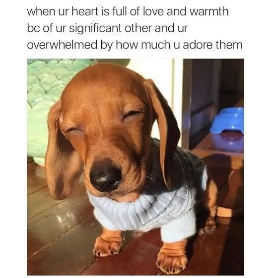 when ur heart is full of love and warmth bc of ur significant other and ur overwhelmed by how much u adore them