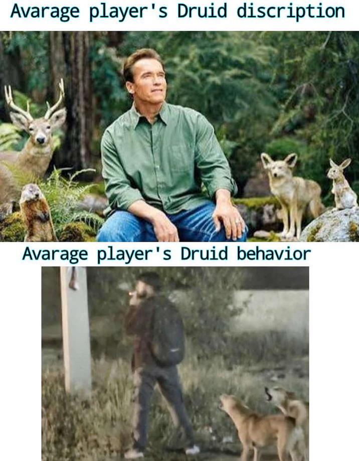 Avarage player's Druid discription Avarage player's Druid behavior
