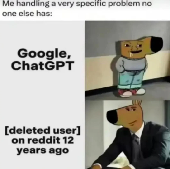 Me handling a very specific problem no one else has: Google, ChatGPT [deleted user] on reddit 12 years ago