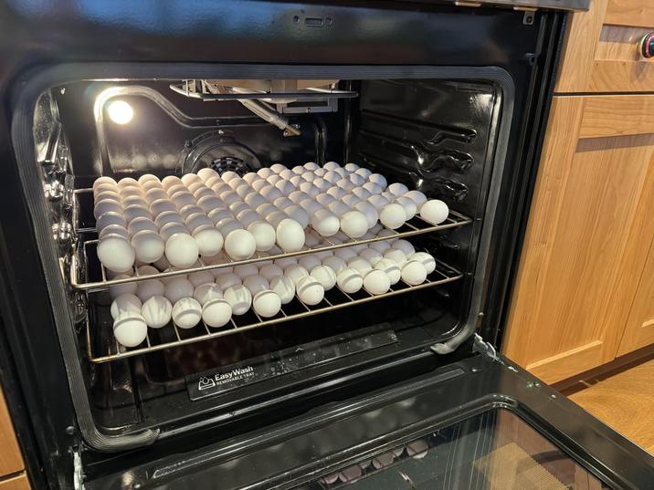 EasyWash REMOVABLE TRAY,