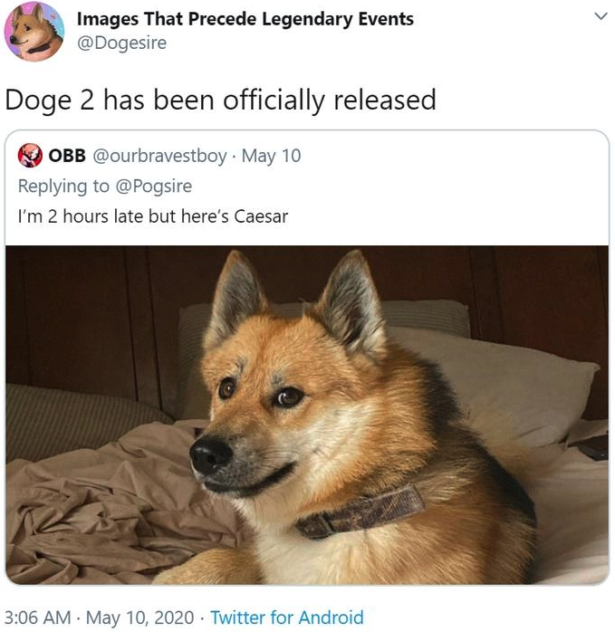 Images That Precede Legendary Events @Dogesire Doge 2 has been officially released OBB @ourbravestboy. May 10 Replying to @Pogsire I'm 2 hours late but here's Caesar > 3:06 AM May 10, 2020 Twitter for Android