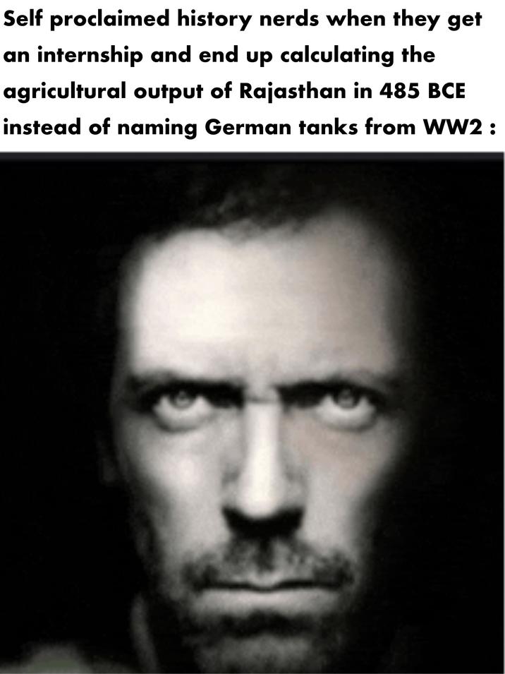 Self proclaimed history nerds when they get an internship and end up calculating the agricultural output of Rajasthan in 485 BCE instead of naming German tanks from WW2 :