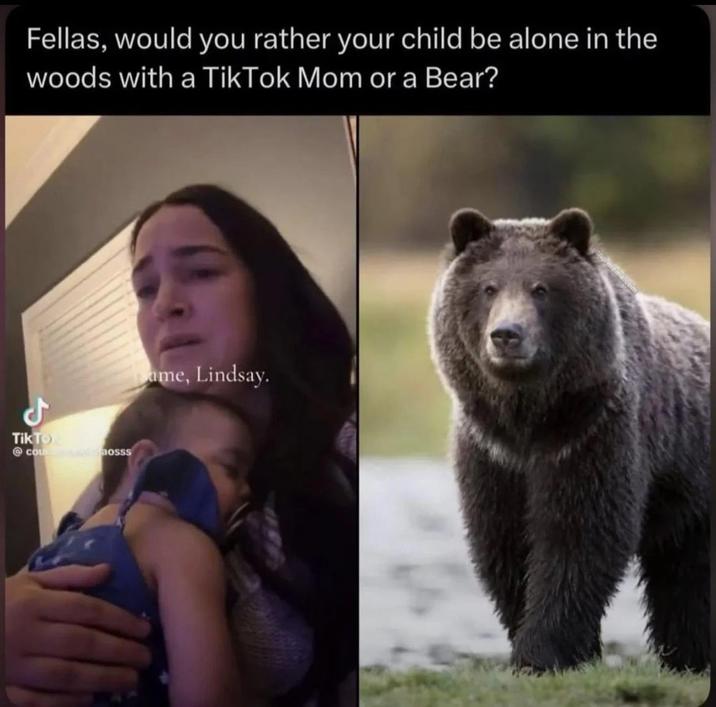 Fellas, would you rather your child be alone in the woods with a TikTok Mom or a Bear? ل TikTok Cosmosss ame, Lindsay.