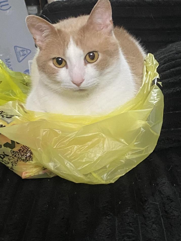 MA