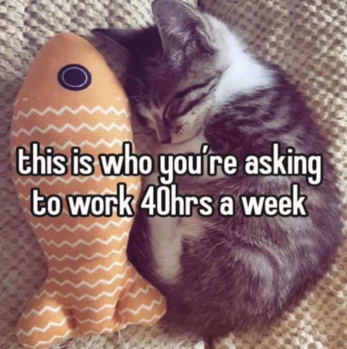 this is who you're asking to work 40hrs a week