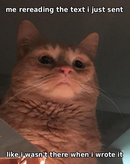me rereading the text i just sent like i wasn't there when i wrote it